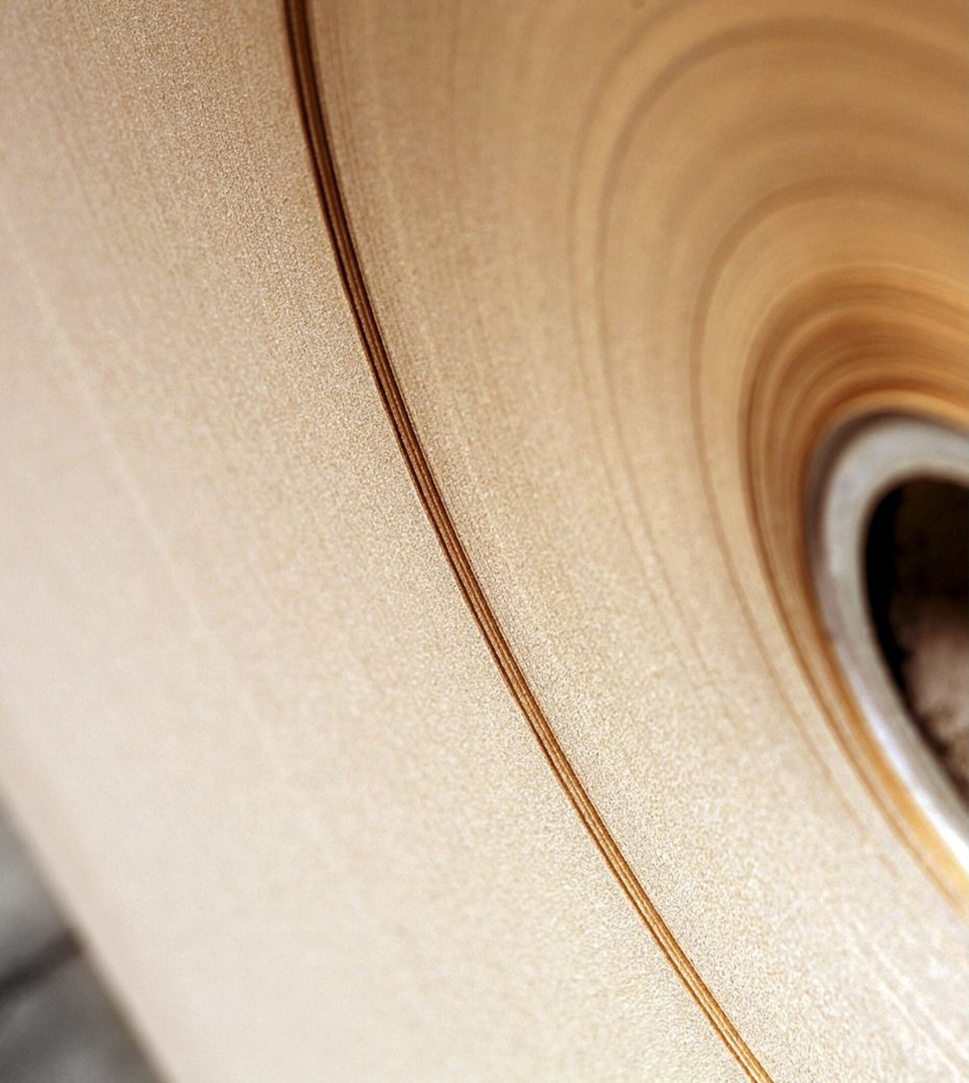 Macro view of paper reel core with spiral kraft layers