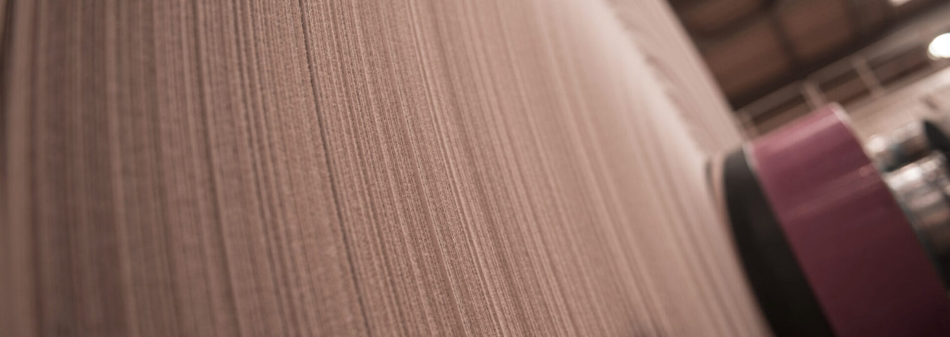 Close-up of paper roll cross-section showing layered texture in warehouse